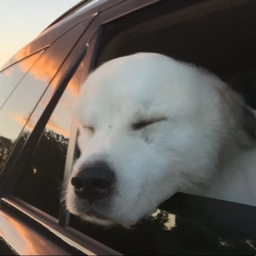 Meet your Posher, Katherine